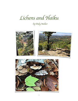 cover of Lichens and Haiku by Daly Walker